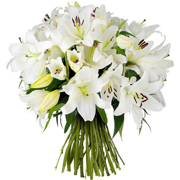 Bouquet de lys : Aux fleurs des Abers votre spécialiste fleuriste sur  Lannilis, compositions florales, gerbes de deuil